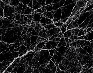 ModernMarble Tiles