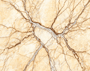 ModernMarble Tiles