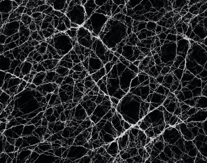 ModernMarble Tiles
