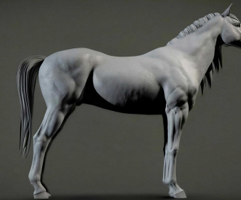 Modern Animal Horse-ID:339868079