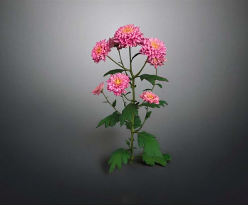 Modern Flowers And Grass-ID:633510118