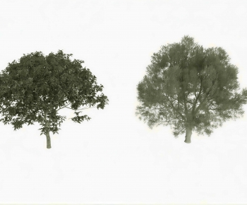 Modern Tree-ID:290457019