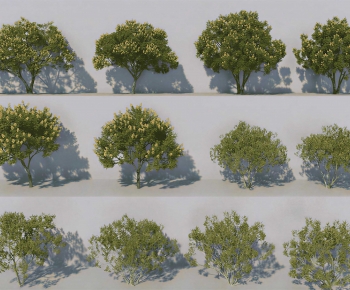 Modern Tree-ID:141690028