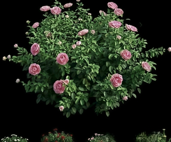 Modern Flowers And Grass-ID:801567081