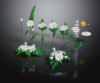 Modern Flowers And Grass-ID:418369052