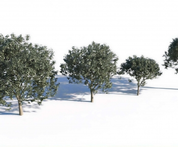 Modern Tree-ID:566983947