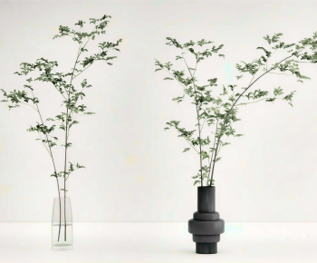 Modern Aquatic Green Plant-ID:497123962