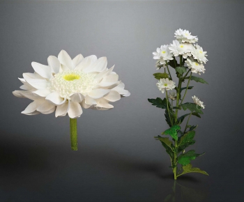 Modern Flowers And Grass-ID:853984122