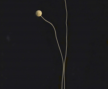 Modern Flowers And Grass-ID:365289936