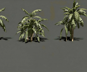 Modern Tree-ID:621339087