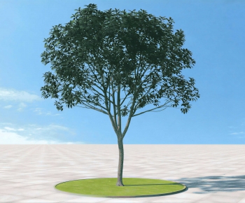 Modern Tree-ID:838069924