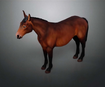 Modern Mammal-ID:114989041