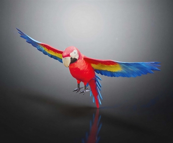 Modern Flying Animals-ID:266944895