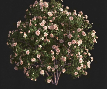Modern Shrubbery-ID:337573057
