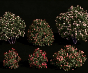 Modern Shrubbery-ID:193033939