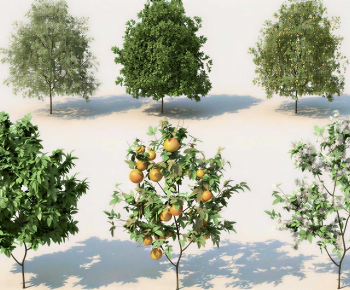 Modern Tree-ID:710850957