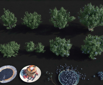 Modern Shrubbery-ID:822602039