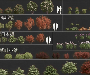 Modern Shrubbery-ID:225189923