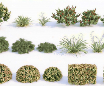 Modern Shrubbery-ID:287615067