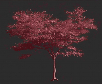 Modern Tree-ID:567429123