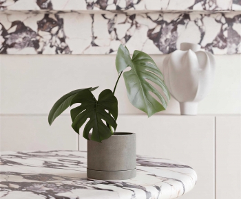 Modern Potted Green Plant-ID:721261981