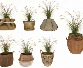 Wabi-sabi Style Potted Green Plant-ID:778256895