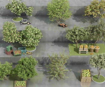 Modern Tree-ID:770806078