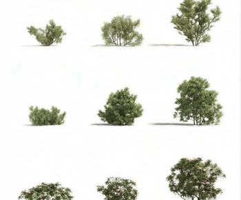 Modern Shrubbery-ID:698343995