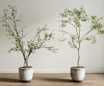 Modern Ground Green Plant Potted Plants-ID:497256994