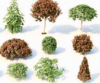 Modern Shrubbery-ID:572235111