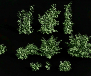 Modern Shrubbery-ID:775466929