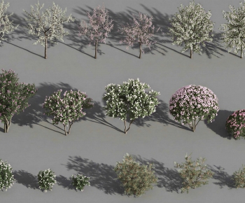 Modern Shrubbery-ID:931220053