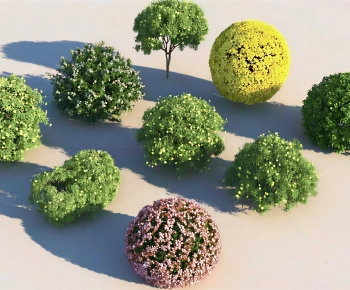 Modern Shrubbery-ID:431129994