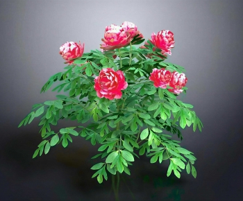 Modern Shrubbery-ID:835216054
