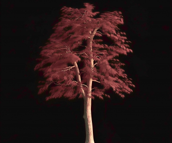 Modern Tree-ID:100200246