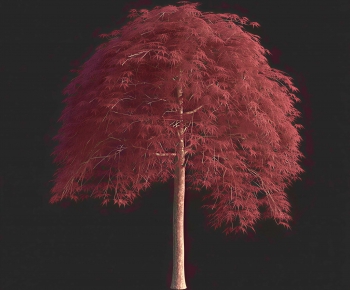 Modern Tree-ID:415499932