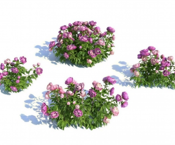 Modern Shrubbery-ID:607754954