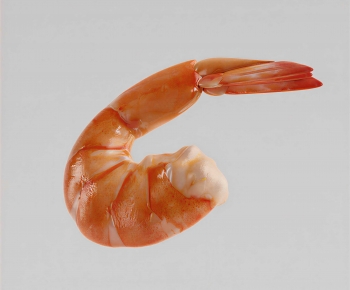 Modern Aquatic Product-ID:752825027
