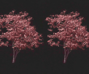 Modern Tree-ID:302081136