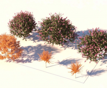 Modern Shrubbery-ID:389173034