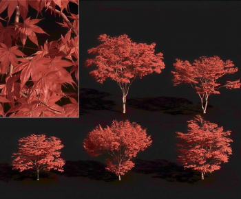 Modern Tree-ID:571624996