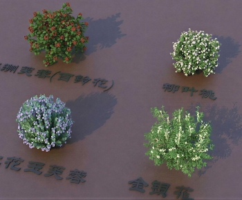 Modern Shrubbery-ID:512856011