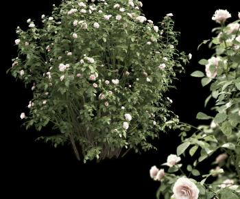 Modern Flowers And Grass-ID:984375003