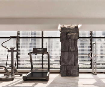 Modern Home Fitness Room-ID:394304994