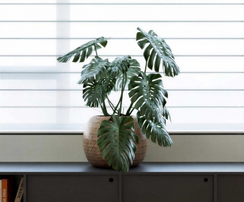 Modern Potted Green Plant-ID:222656972