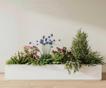 Modern Flower Bed, Flower Bowl, Flower Box-ID:266807089