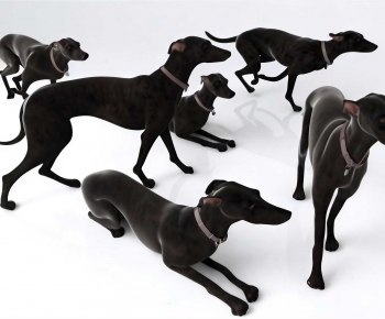 Modern Animal Dog-ID:248621948