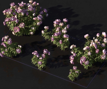 Modern Shrubbery-ID:922585014