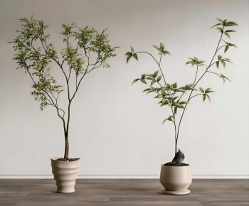 Modern Ground Green Plant Potted Plants-ID:744062901