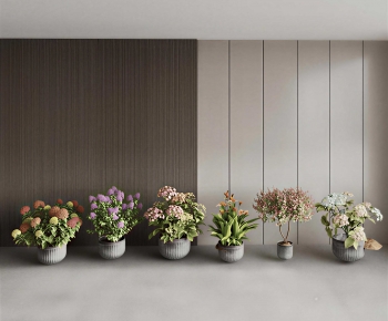 Modern Ground Green Plant Potted Plants-ID:914777047
